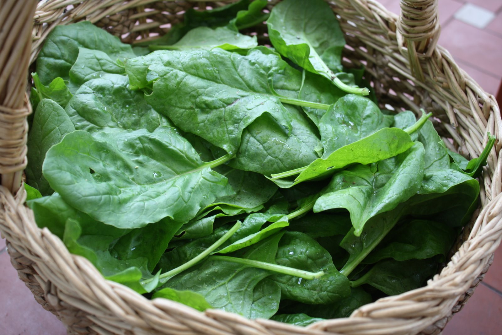 Sformato di patate e spinaci