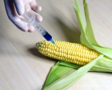 La lista nera dei produttori alimentari con cibi OGM