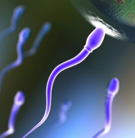 fertilità-celiachia