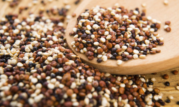 Quinoa, perchè fa bene: tutti i benefici e come cucinarla