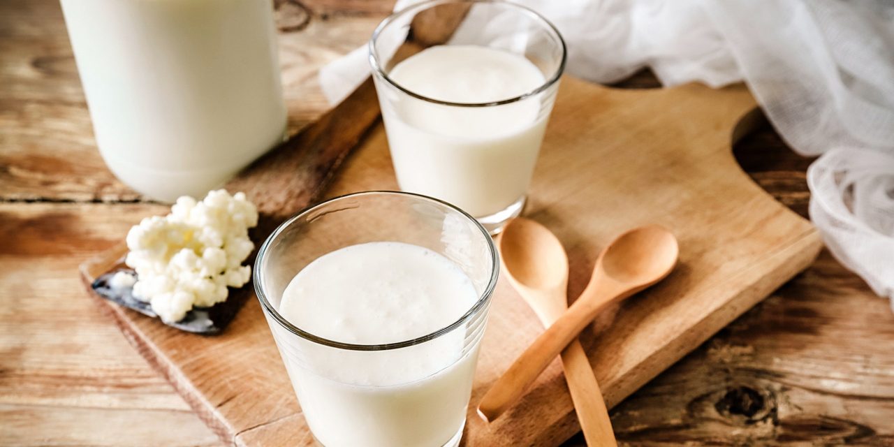Kefir, lo yogurt che viene dal Caucaso: proprietà, benefici e qualche controindicazione