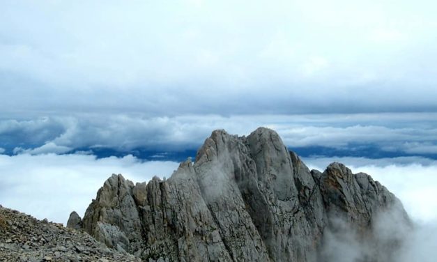 Volersi bene… è il primo passo