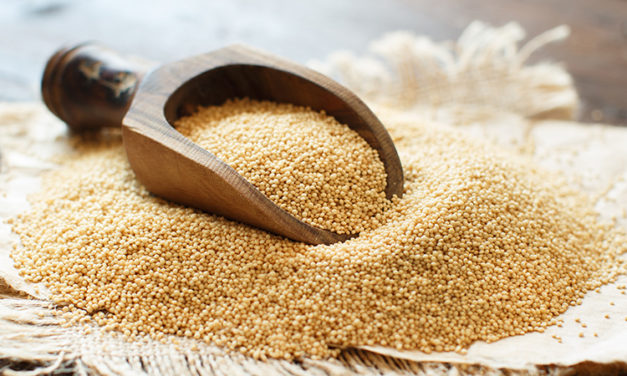Amaranto, superfood senza glutine dalle ottime proprietà nutritive