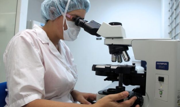 Ricerca, nuovi alimenti adatti ai celiaci: l’Enea brevetta il glutine “detossificato”