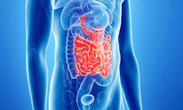 Anticorpi anti-transglutaminasi nel sangue: cosa sono e interpretazione dei risultati